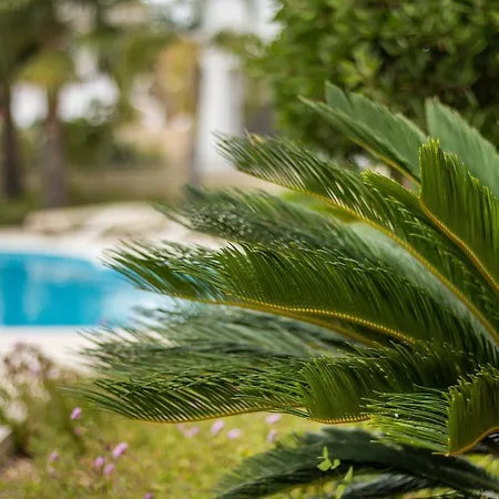 Beach Condominium By Algarve Golden Properties Apartment Lagos